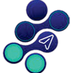 Techrome Internationals logo